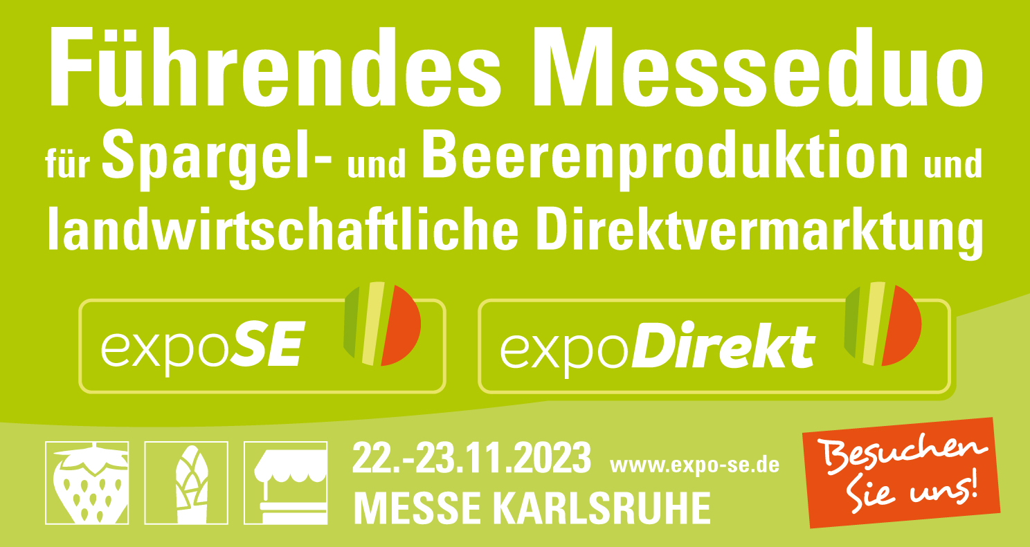 Messe Logo 2023 dt